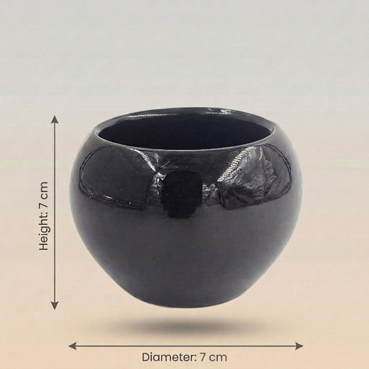 Ceramic Glossy Black Globe Shaped Pot - Indoor Planter