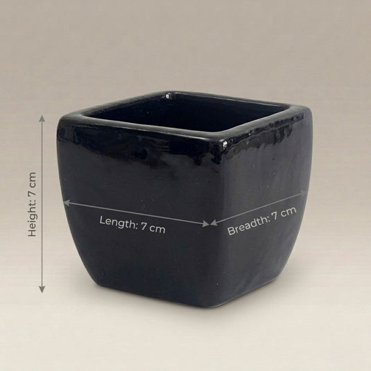 Ceramic Modern Cube Shaped Pot - Indoor Planter