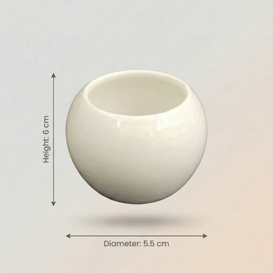 Ceramic Modern Sphere Shaped Pot - Indoor Planter