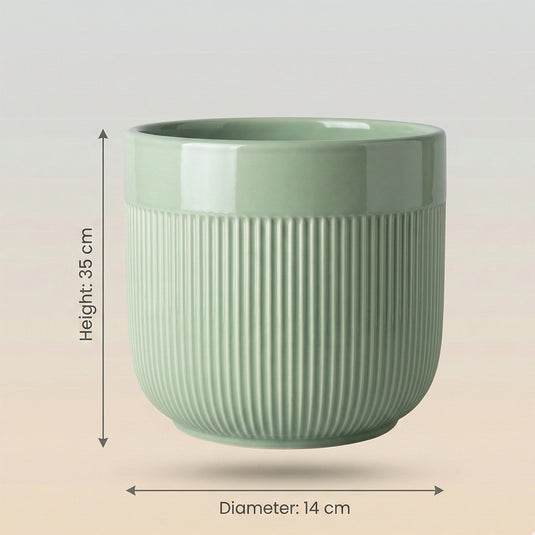 Ceramic Fluted Round Pot - Indoor-outdoor Planter