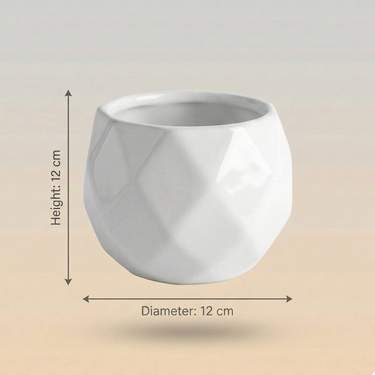 Ceramic White Modern Geometric Pot - Indoor Planter