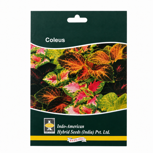 Coleus Wizard Mix Seeds