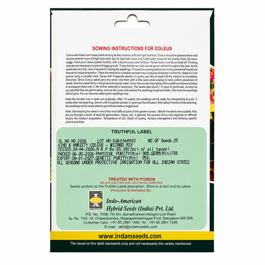 Coleus Wizard Mix Seeds