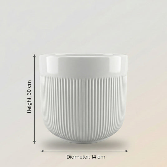 Ceramic White Ribbed Planter Pot - Indoor Planter