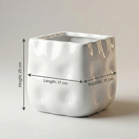 Ceramic White Dimpled Planter Pot - Indoor Planter