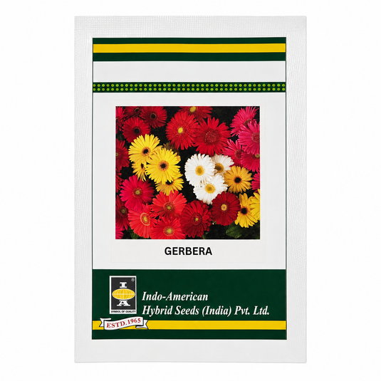 Gerbera F1 Mega Revolution Mix Seeds