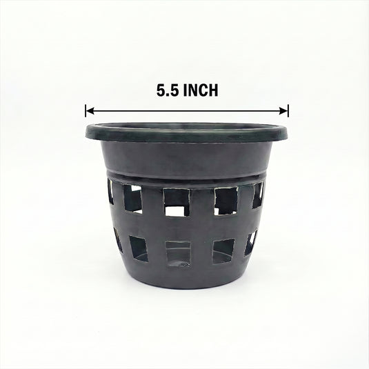 Orchid Pot 5.5 Inch Black/White/Terra