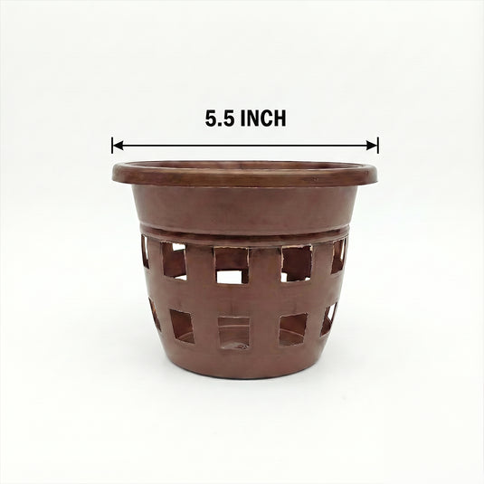 Orchid Pot 5.5 Inch Black/White/Terra