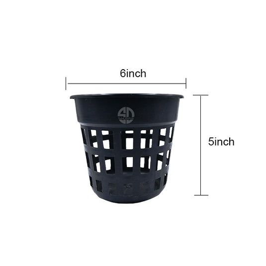 Orchid Pot 6 Inch Black