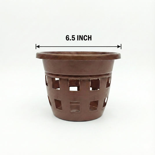 Orchid Pot 6.5 Inch Black/White/Terra