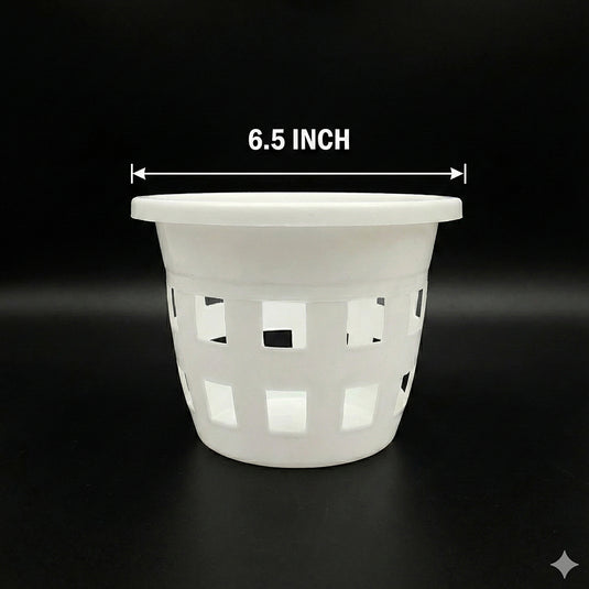 Orchid Pot 6.5 Inch Black/White/Terra