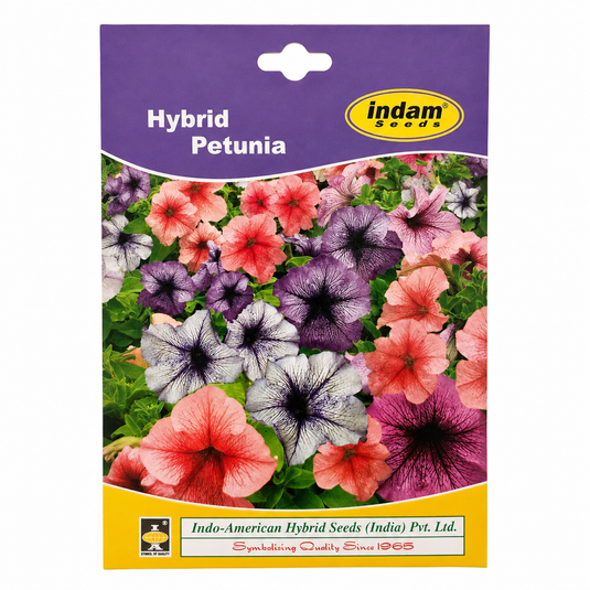 Petunia Single Daddy Mix Seeds