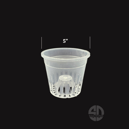 Orchid Pot Transparent 5 Inch