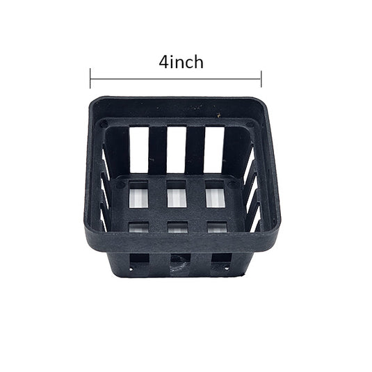 Vanda Orchid Pot 4 Inch