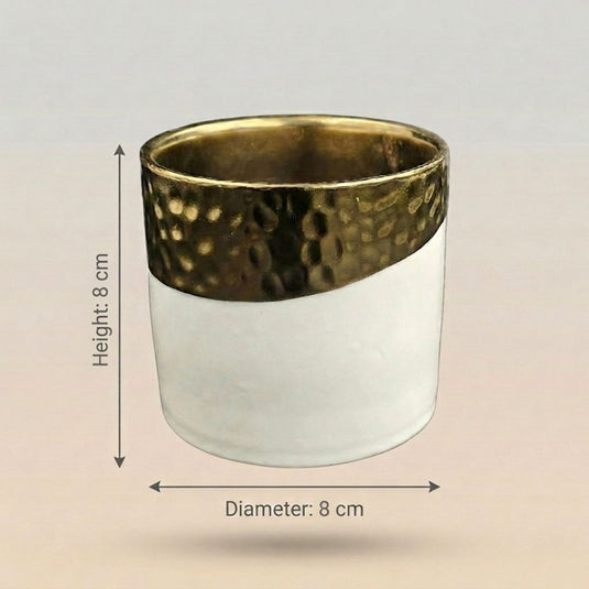 Ceramic White & Hammered Finish Luxury Gold Rim Pot - Indoor Planter
