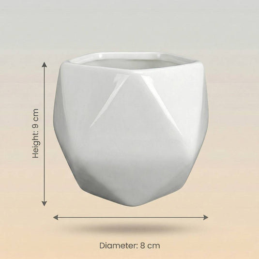 Ceramic Geometric Faceted Diamond cut Pot - Indoor Planter