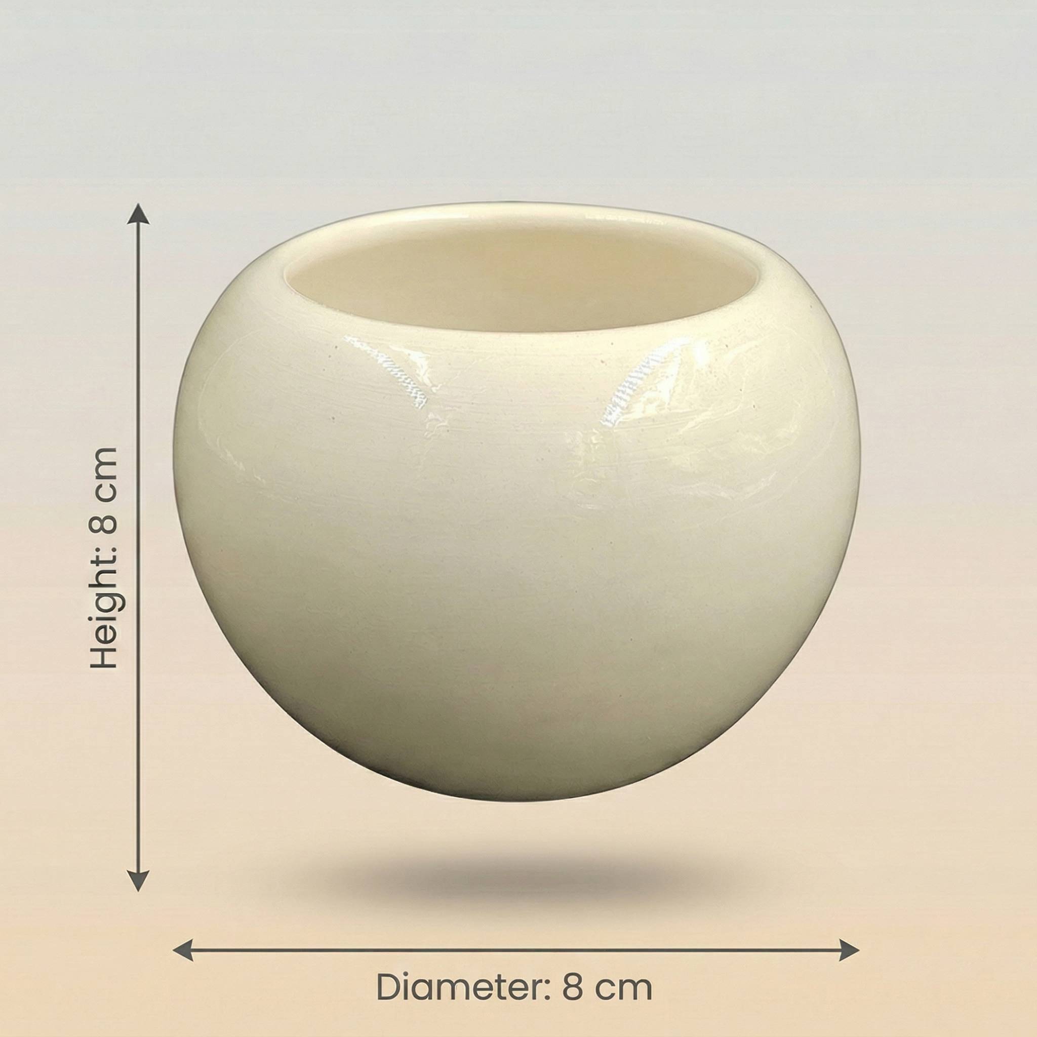 Ceramic Modern Sphere Shaped Pot - Indoor Planter
