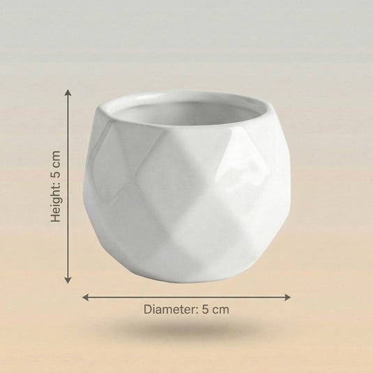 Ceramic White Modern Geometric Pot - Indoor Planter