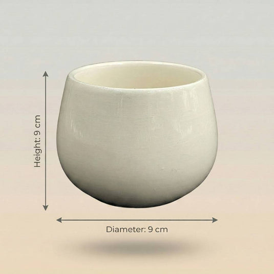 Ceramic Round Bowl Shaped Gloss Finish Pot - Indoor Planter