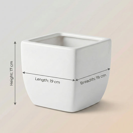 Ceramic Modern Cube Shaped Pot - Indoor Planter