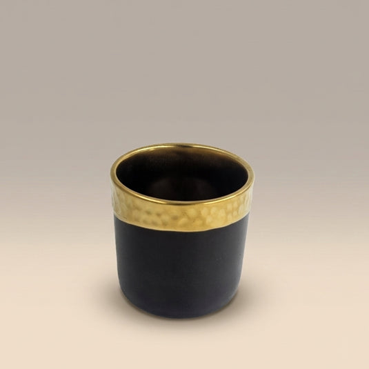 Ceramic Matte Black Cylinder Planter with Gold Rim Pot - Indoor-Outdoor Planter