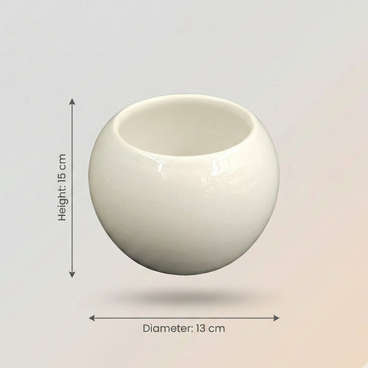 Ceramic Modern Sphere Shaped Pot - Indoor Planter