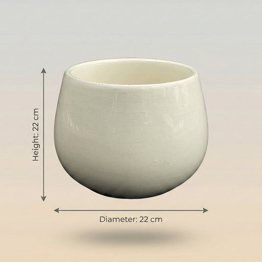 Ceramic Round Bowl Shaped Gloss Finish Pot - Indoor Planter