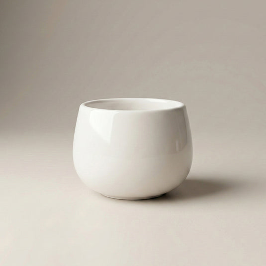 Ceramic Round Bowl Shaped Gloss Finish Pot - Indoor Planter