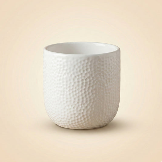 Ceramic White Textured Finish Planter Pot - Indoor Planter & Succulents