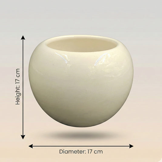 Ceramic Modern Sphere Shaped Pot - Indoor Planter