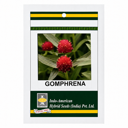 Gomphrena QIS Red Seeds