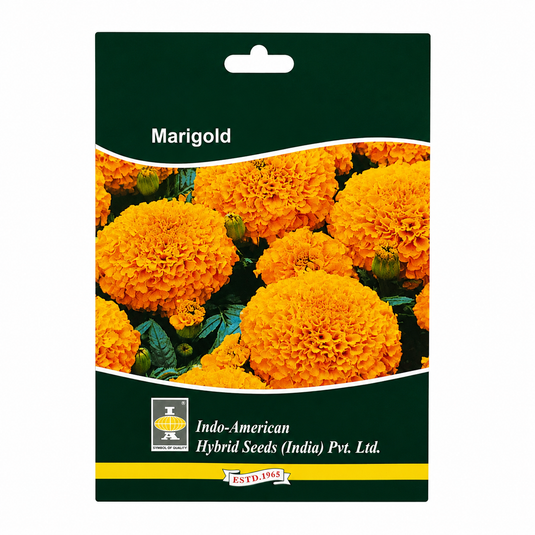 Marigold Marvel Orange Seeds