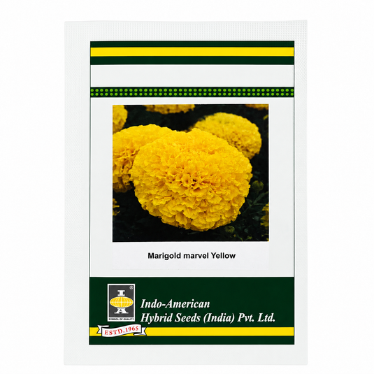 Marigold Marvel Yellow Seeds