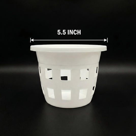 Orchid Pot 5.5 Inch Black/White/Terra