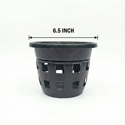 Orchid Pot 6.5 Inch Black/White/Terra