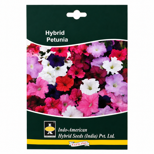 Petunia Hybrid Dreams Mix Seeds