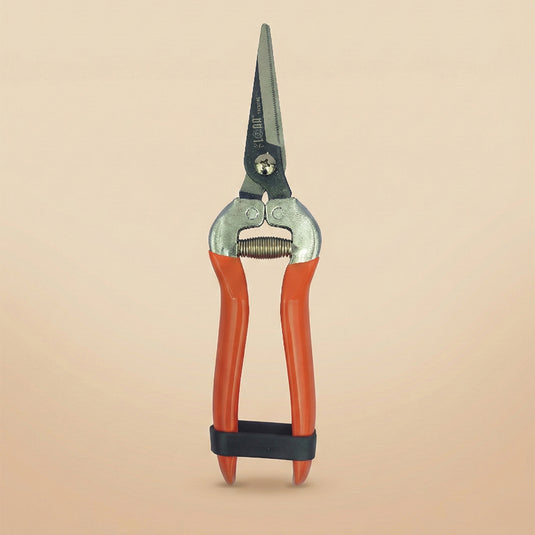 Pruning Shears