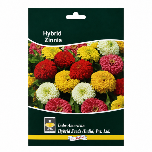 Zinnia Zahara Mix Seeds
